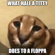 Half a titty does to a floppa meme — no half measures